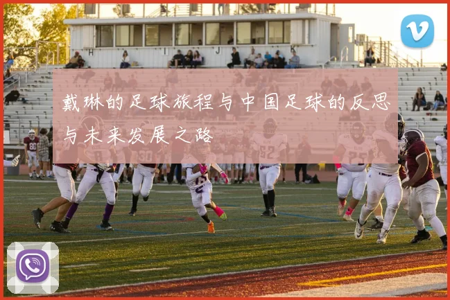 戴琳的足球旅程与中国足球的反思与未来发展之路