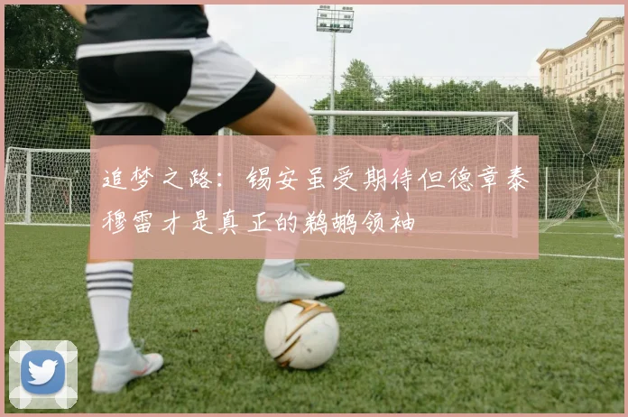 追梦之路：锡安虽受期待但德章泰穆雷才是真正的鹈鹕领袖